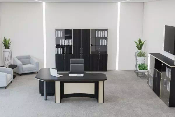 Кабинет руководителя Триумф Салита