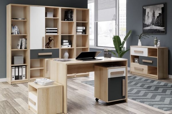 Кабінет керівника Айго Сокме