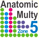 Багаторівнева інноваційна система пружин Anatomic Multy Zone 5
