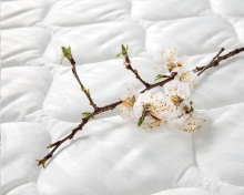 Матрац Primavera Fiore 80x190