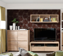 Міні стінка Каспіан дуб сонома ВМК (БРВ)