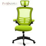 Крісло Ragusa light green Office4You